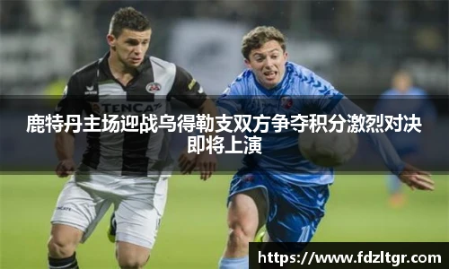 火狐电竞