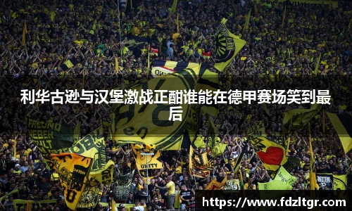 利华古逊与汉堡激战正酣谁能在德甲赛场笑到最后