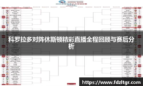 科罗拉多对阵休斯顿精彩直播全程回顾与赛后分析