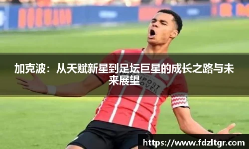 加克波：从天赋新星到足坛巨星的成长之路与未来展望