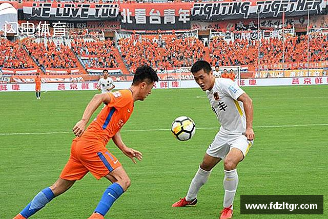 介绍bevictor伟德